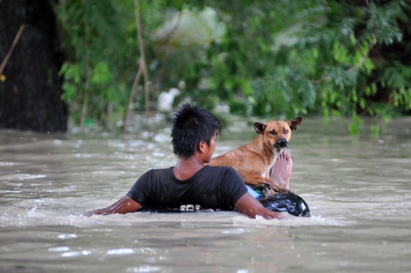 Nguoi dan Myanmar oan minh chong lu lut-Hinh-9